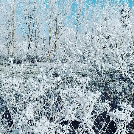 Semesterbostad La Casa Del Corro Villanueva de San Mancio