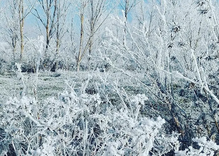 Ferienhaus La Casa Del Corro Villanueva de San Mancio